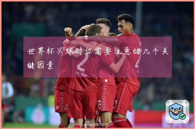 世界杯买球时你需要注意的几个关键因素