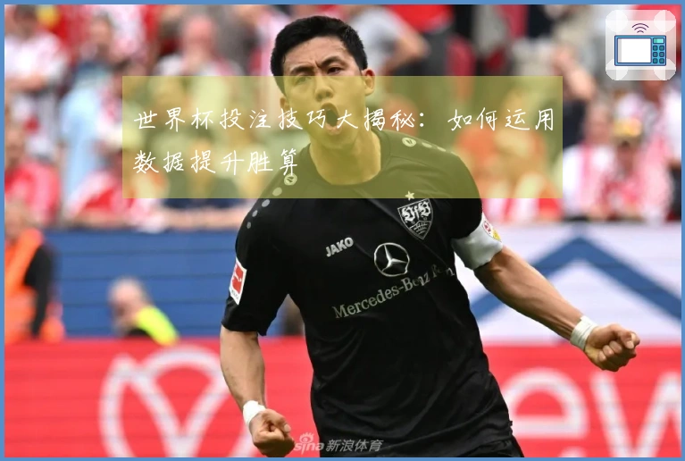 世界杯投注技巧大揭秘：如何运用数据提升胜算