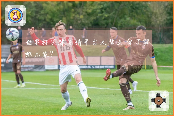 世界杯买球竞猜平台大盘点 你了解哪几家？