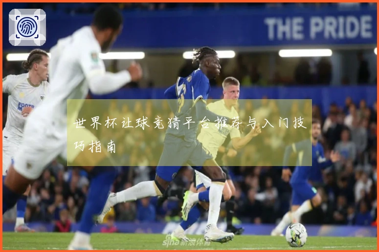 世界杯让球竞猜平台推荐与入门技巧指南
