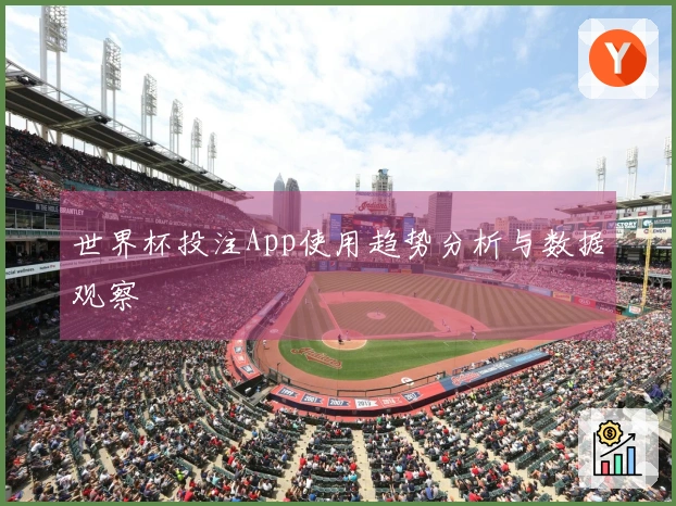 世界杯投注App使用趋势分析与数据观察