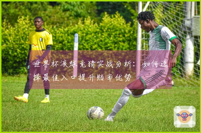世界杯滚球竞猜实战分析：如何选择最佳入口提升赔率优势