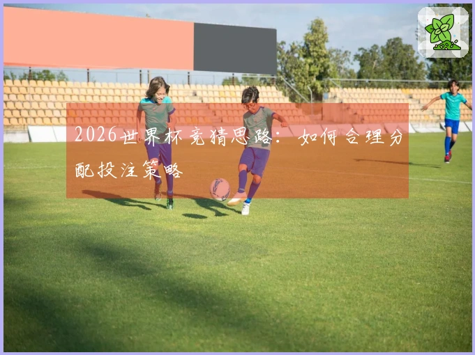2026世界杯竞猜思路：如何合理分配投注策略