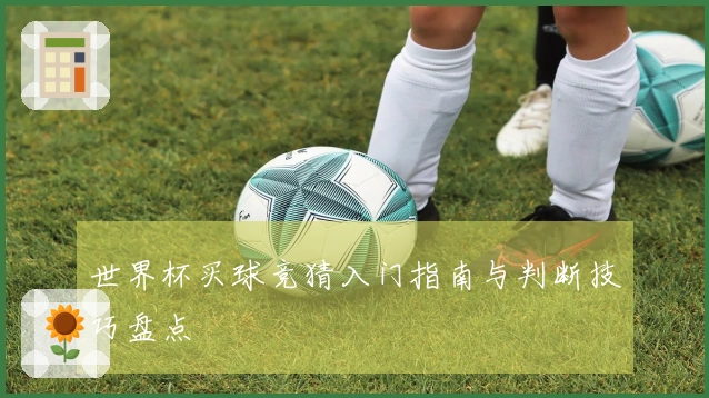 世界杯买球竞猜入门指南与判断技巧盘点