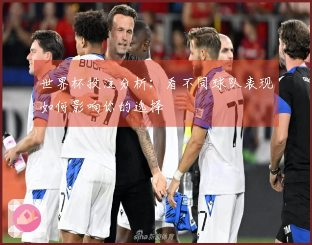 世界杯投注分析：看不同球队表现如何影响你的选择