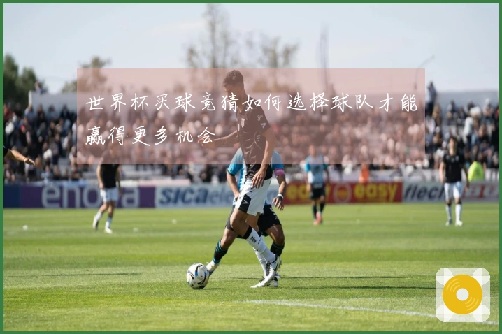世界杯买球竞猜如何选择球队才能赢得更多机会