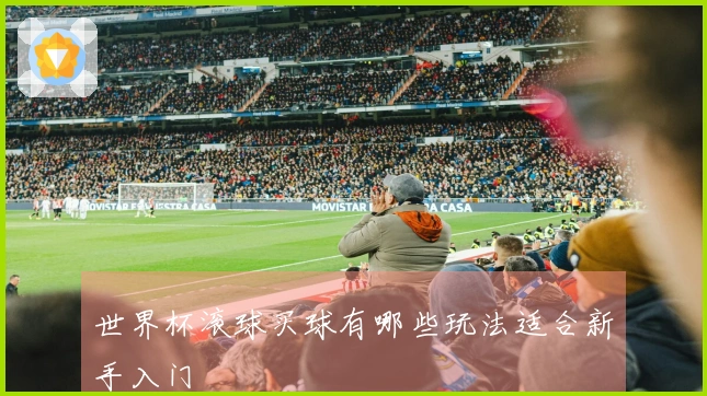 世界杯滚球买球有哪些玩法适合新手入门