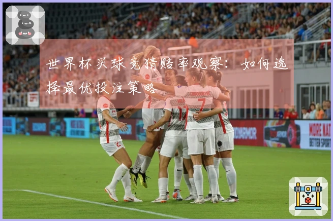 世界杯买球竞猜赔率观察：如何选择最优投注策略