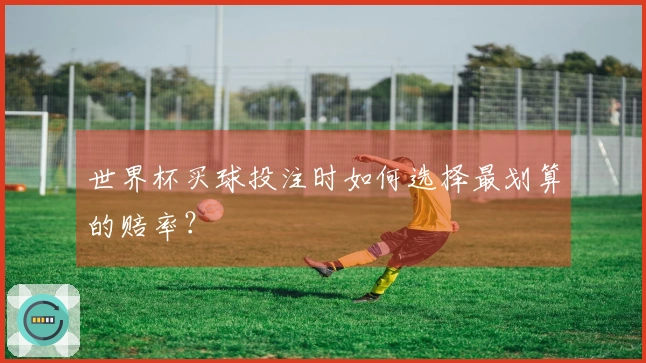 世界杯买球投注时如何选择最划算的赔率？
