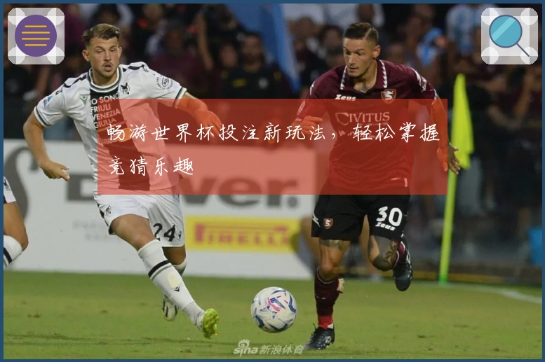 畅游世界杯投注新玩法,轻松掌握竞猜乐趣