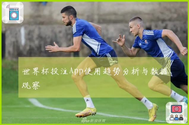 世界杯投注App使用趋势分析与数据观察