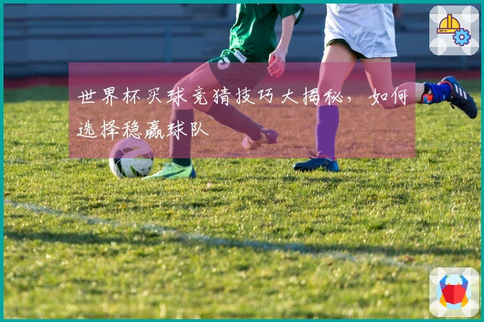 世界杯买球竞猜技巧大揭秘，如何选择稳赢球队