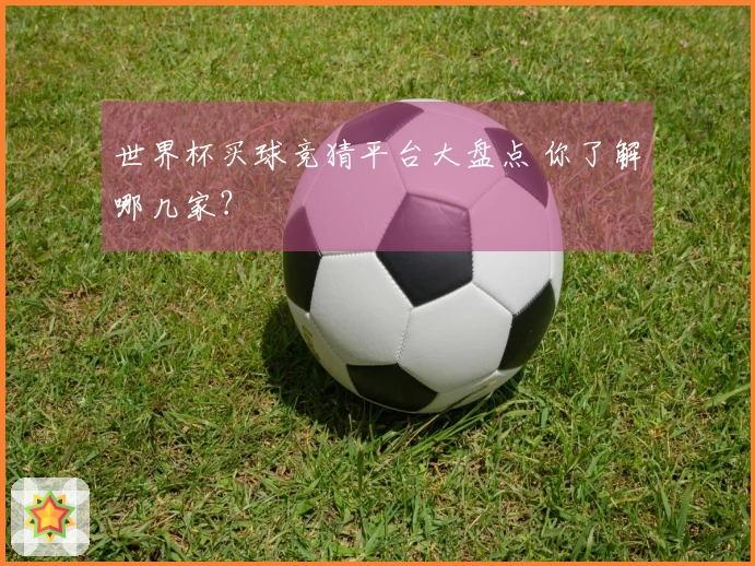 世界杯买球竞猜平台大盘点 你了解哪几家？